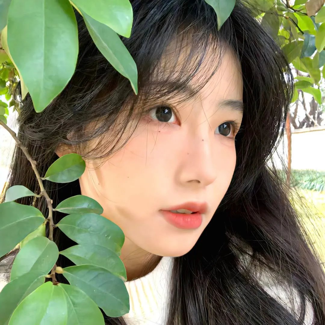 我爱莎拉简